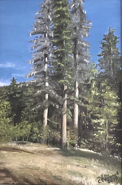 В горах Адыгеи, 60*40, х. м., 2019 г.