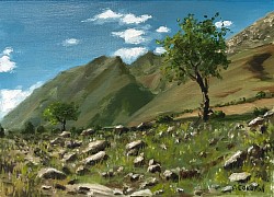 В гоах. 2026